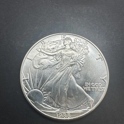 1 Oz .999 Fine Silver 1988 Walking Liberty Eagle One Dollar Coin Bullion 004