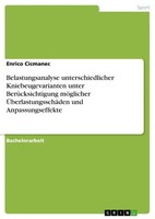 Belastungsanalyse Unterschiedlicher Kniebeugevarianten Unter BerüCksichtigung...