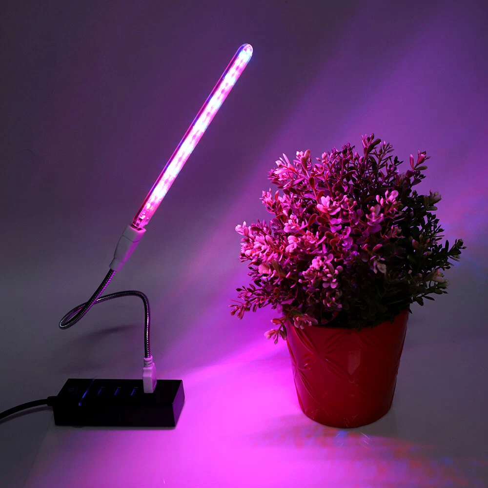 Mini plant grow sale light