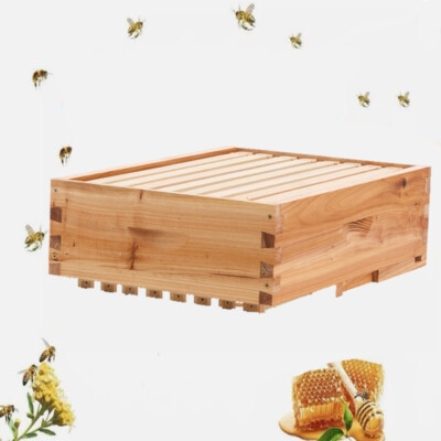 1 Layer Beehive Super Box Deep 10 Frame Wax Langstroth Beekeeping & 10X Frames