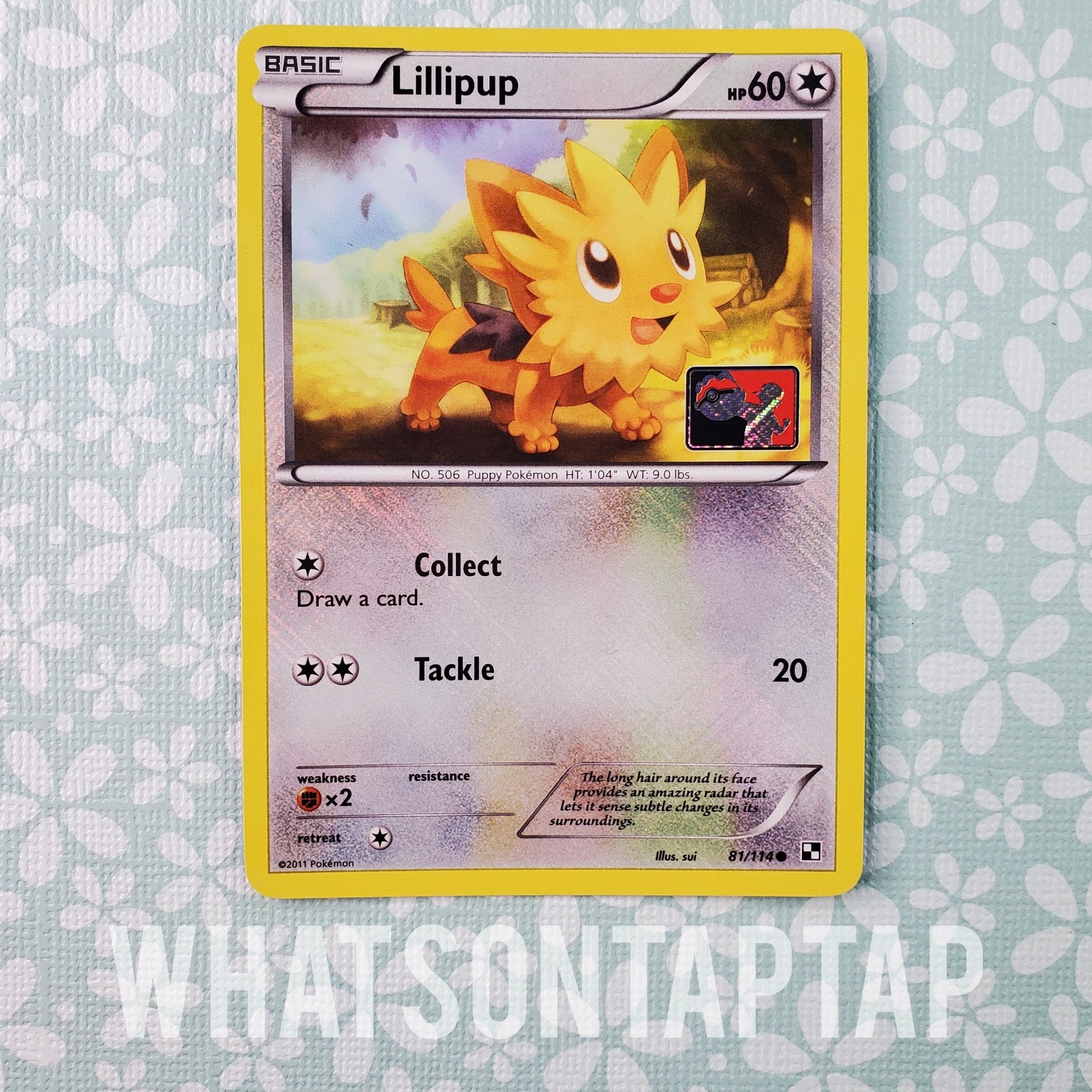 Pokemon Card Lillipup 81/114 Crosshatch Reverse Holo Pokemon League Promo LP