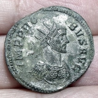 ROMA Probus (276 282) Silvered Antoninianus Roma Mint ADVENTVS AVG SCARCE