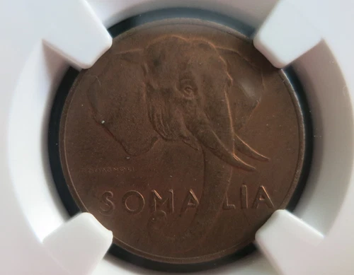 SOMALIA ITALY 5 centesimi 1950 NGC MS 64 RB Red Elephant UNC Africa Animal