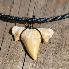 Black Braided  OTODUS Great Medium Shark Tooth Necklace Fossil off white