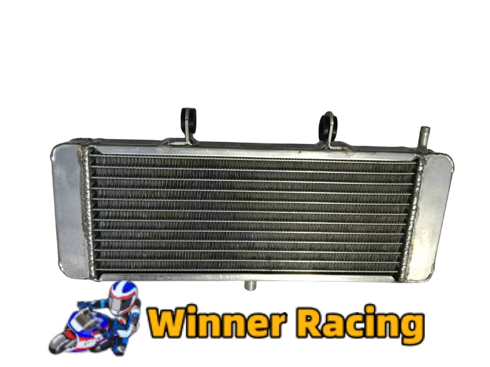 RADIADOR ALUMINIO APRILIA RS50 2006-2010 2007 2008 2009 réplica Foto 4 de 4