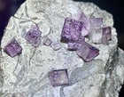 Fluorite & Calcite Caldwell Stone Quarry, Danville, Boyle Co., Kentucky — photo 6