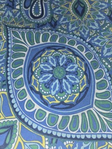 Pottery Barn Paloma Blue Paisley King Duvet