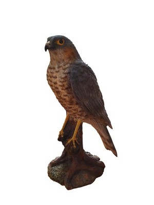 Vivid Arts Spatz Falke Harz Haus oder Garten Ornament XRL-SHAW-D