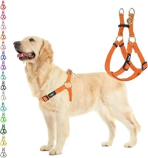 No Pull Dog Harness Soft Adjustable Basic Nylon Step in Puppy Vest Outdoor Walki