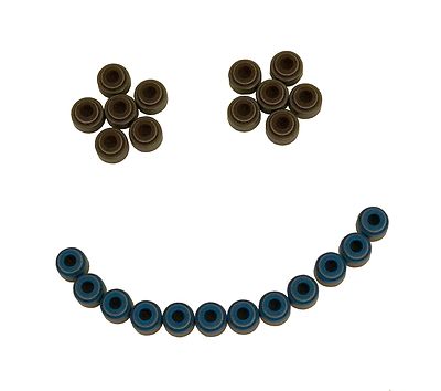 Supertech VS-N6E VS-N6I Intake + Exhaust Valve Seals Set for Nissan RB20 RB25DET