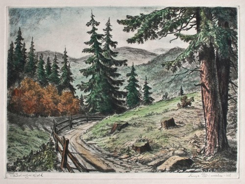 Hugo Eichler Turingia bosque paisaje otoño firmado grabado coloreado