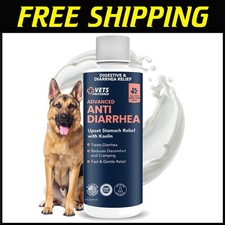 Soothing Gas Relief for Dogs - Digestive Health Support