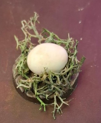 Dungeon Terrain Dragon Egg Hand Crafted And Painted