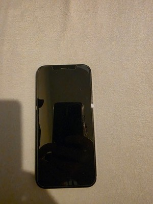 Apple iPhone 12 Pro Max - 256GB - Pacific Blue (Ohne Simlock) (Dual-SIM)