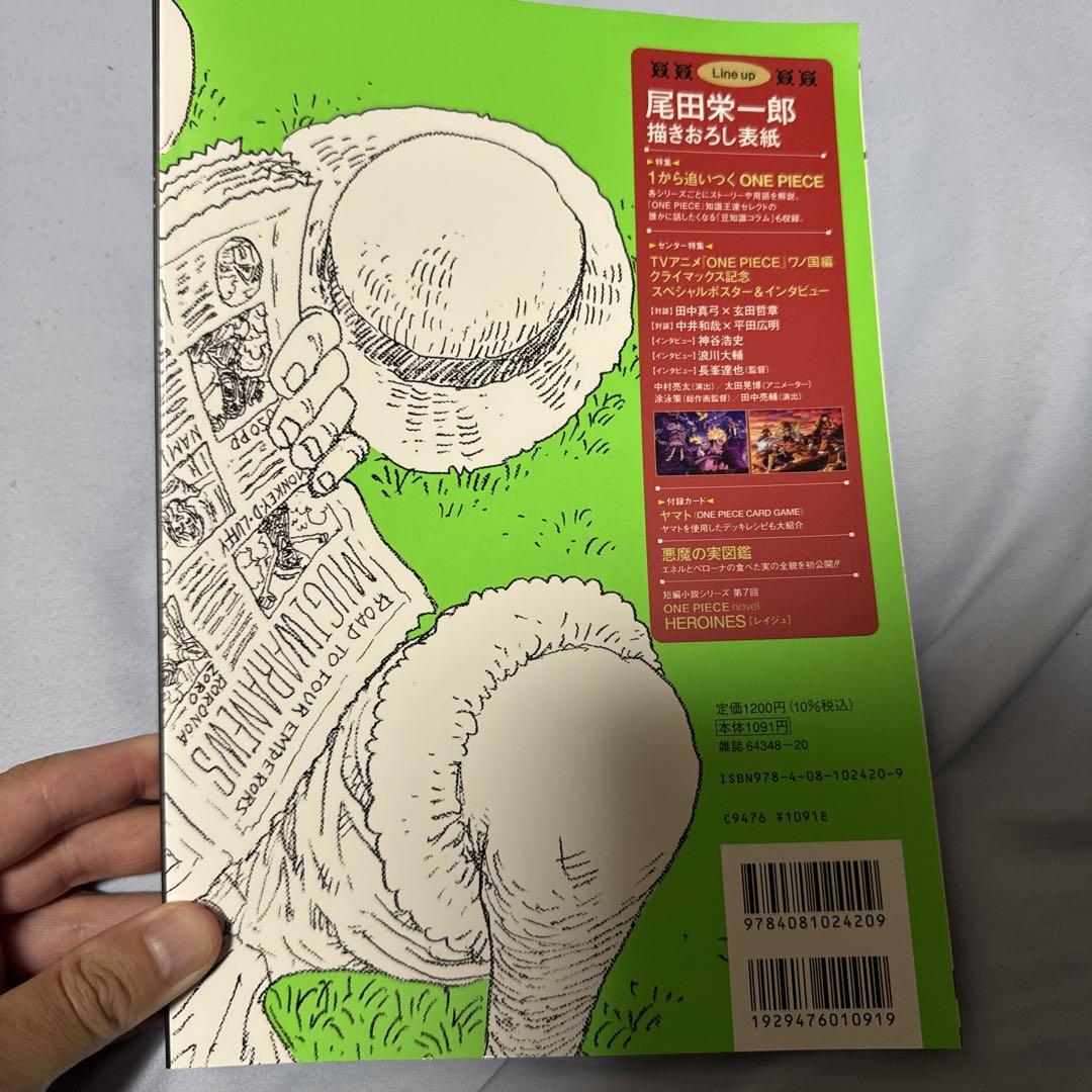 ONE PIECE magazine Vol.17 No supplement | eBay