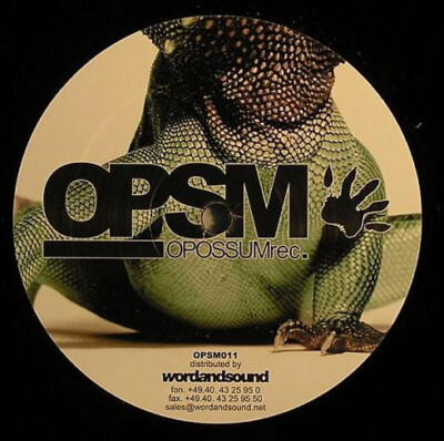 Pablo Rez - Wasabi (12'') (Very Good (VG)) - 2992654556