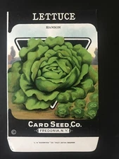 1920s Litho Antique Vintage Card Seed Co. Packet Pack Lettuce Hanson unused