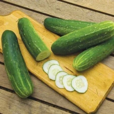 Straight Eight Cucumber Seeds | Organic | NON-GMO | Heirloom | Best Selling