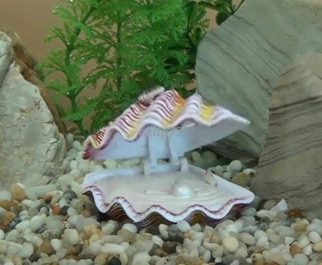 nemo aquarium decorations