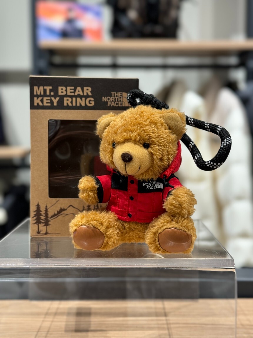 非売品　新品 THE NORTH FACE MT. BEAR KEY RING s-l1200.jpg