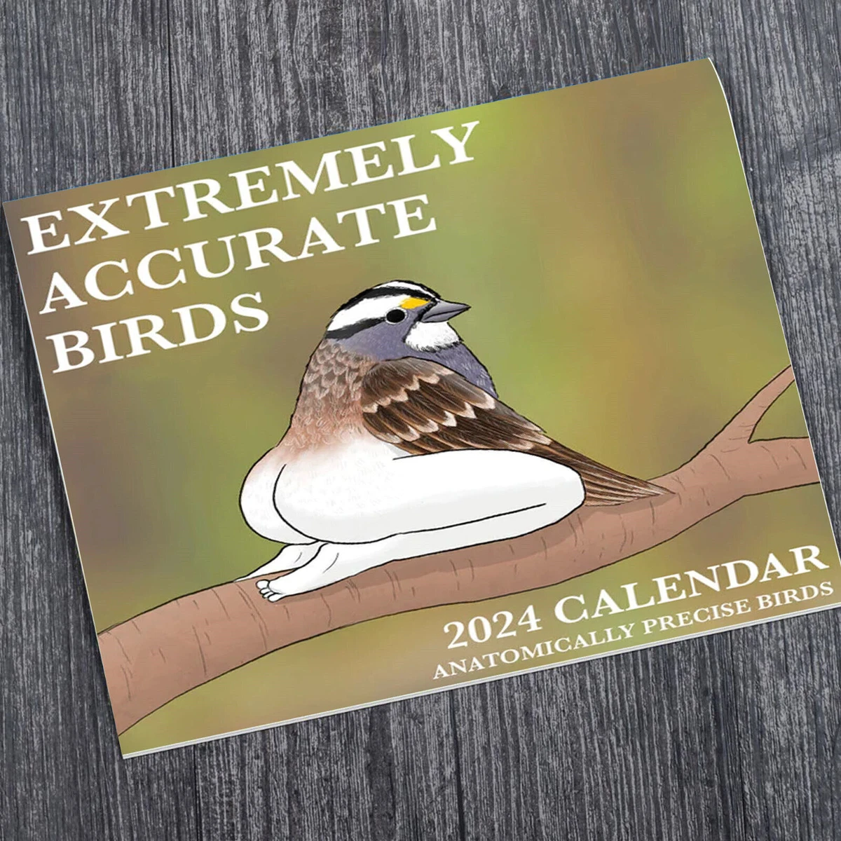 2024 Extremely Accurate Bird With Leg Wall Calendar New Year Gift Creative  | eBay