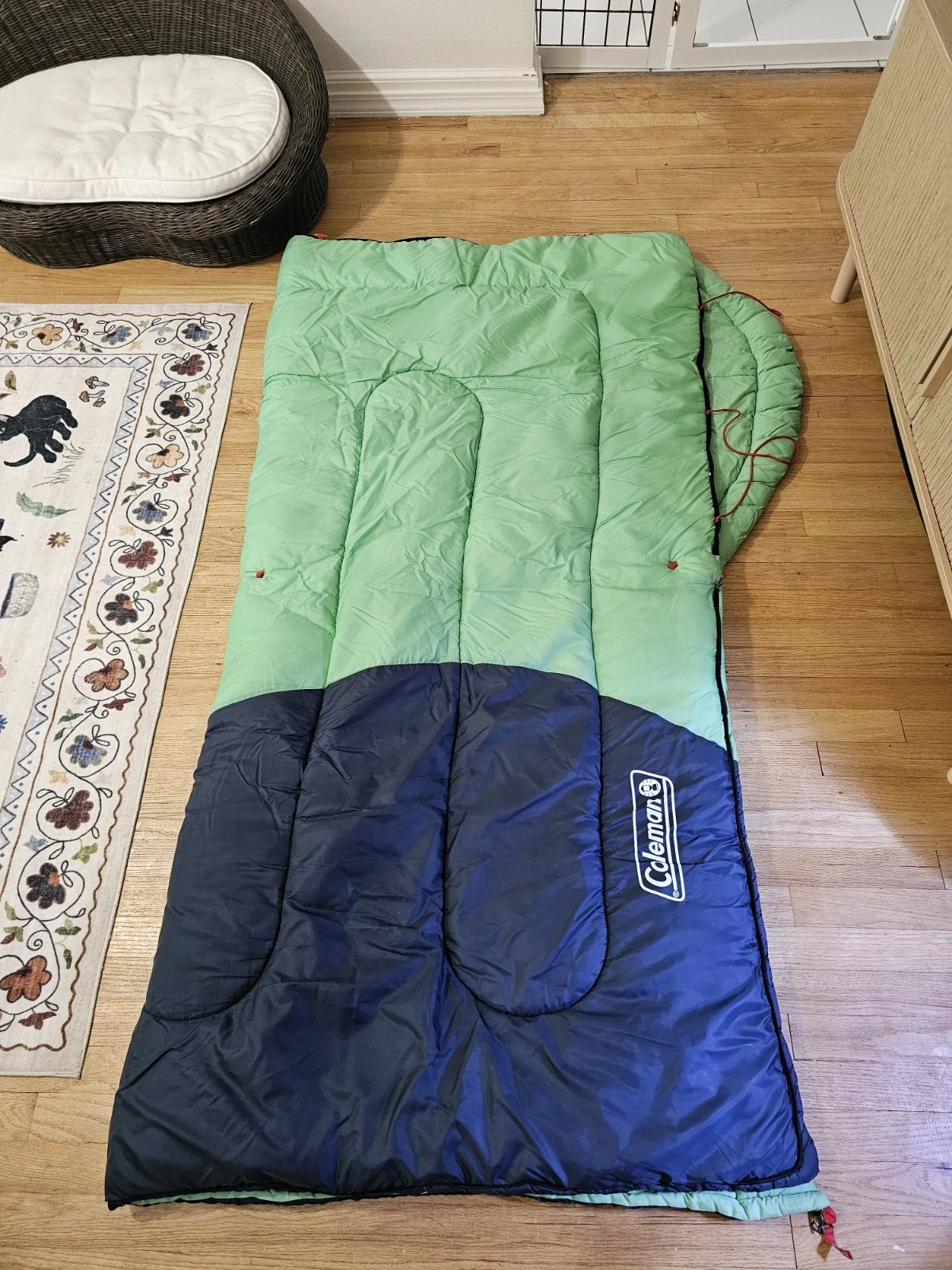 Coleman Raymer Sleeping Bag - Green/Blue