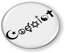 BestLicensePlateFrames Coexist 3D Domed CAR Emblem Badge Sticker Round
