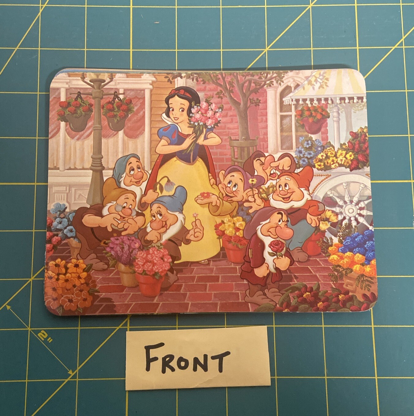 Picture 3 of 24