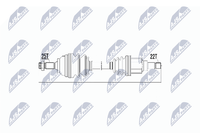 NTY NPW-CT-018