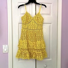 Mini Mesh/Lace Dress for Women originally bought for 68