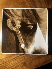 Ryan Kyle Horse Photography Serving Tray Performance Home Western Decor Platter 