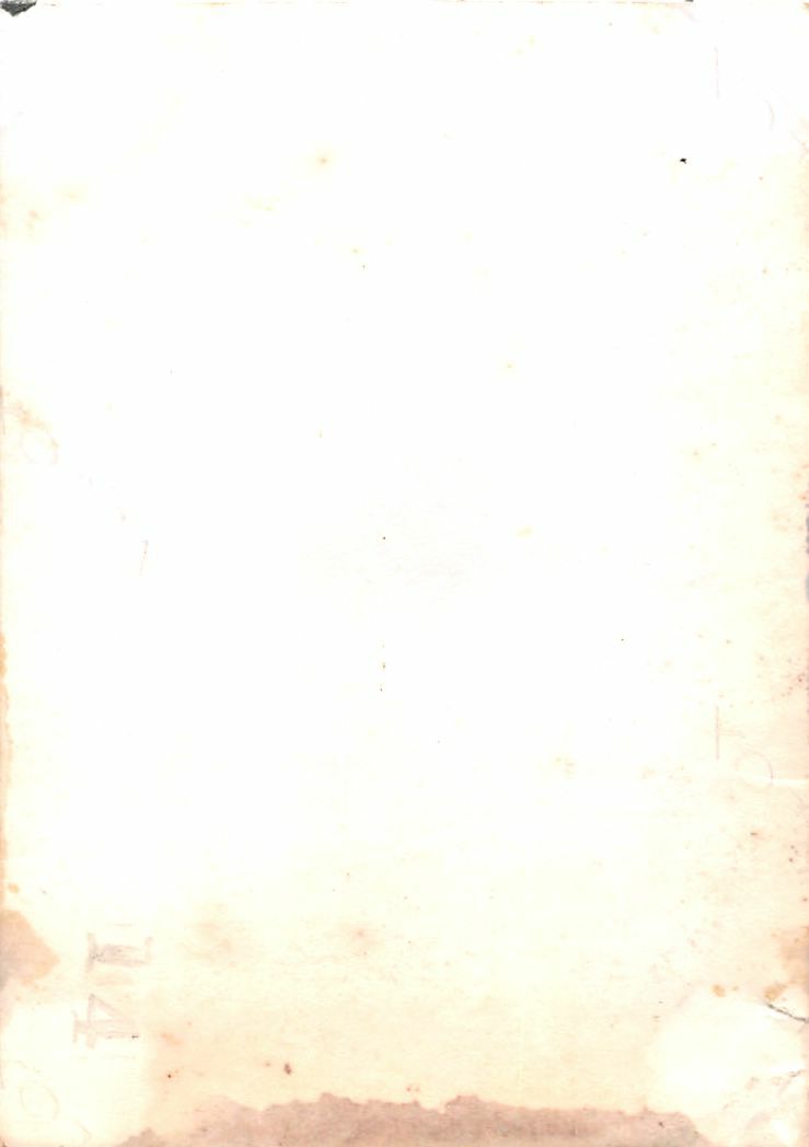 Picture 2 of 2