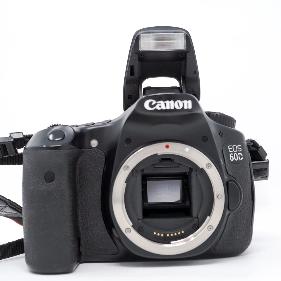 Canon EOS 60D, photo 3 of 5