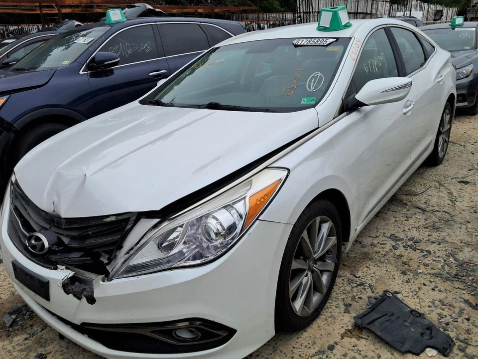 Puerta trasera del conductor eléctrica sin parasol compatible con 12-17 AZERA 2662879 Foto 2 de 4