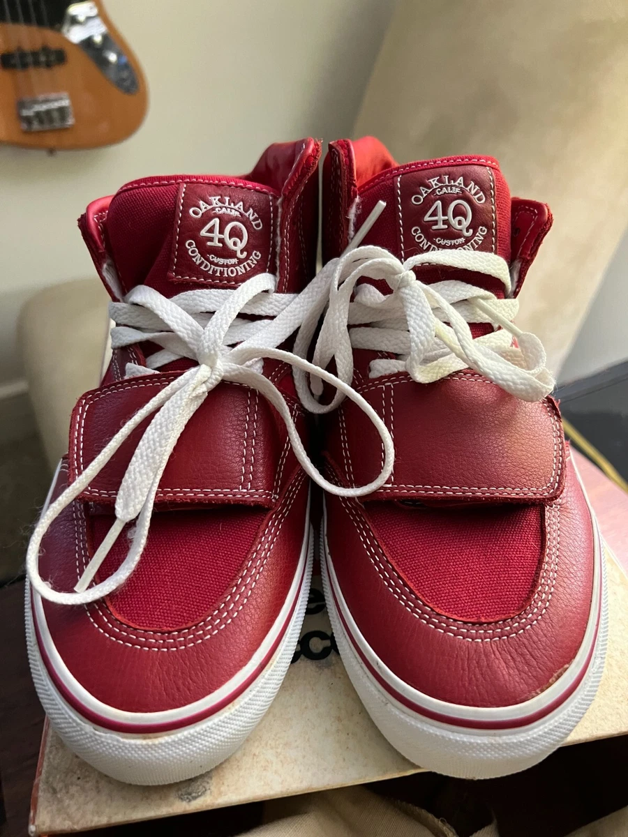 Vans Syndicate Max Schaaf Mountain Edition 4Q Oakland Shoe Size 9 Rare