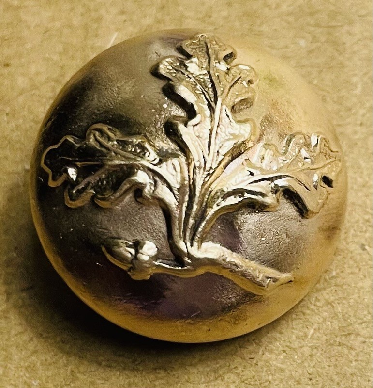 Ex Rare Antique ACORN brass Button, Ca. 1890s/early1900s, Backmarked