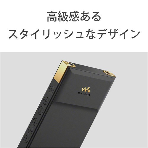 N　通常盤確認 Sony Walkman NW-ZX707 High-Resolution Digital Music Player