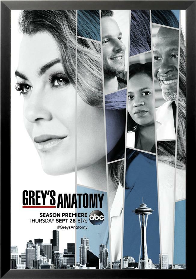 FRAMED Grey's Anatomy Season 14 Group Cast 36x24 Art Print Poster