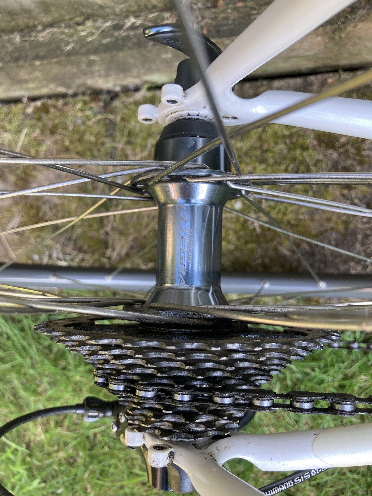 reynolds steel frame