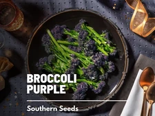 Broccoli, Purple Sprouting - 100 Seeds, Heirloom Vegetable (Brassica oleracea)