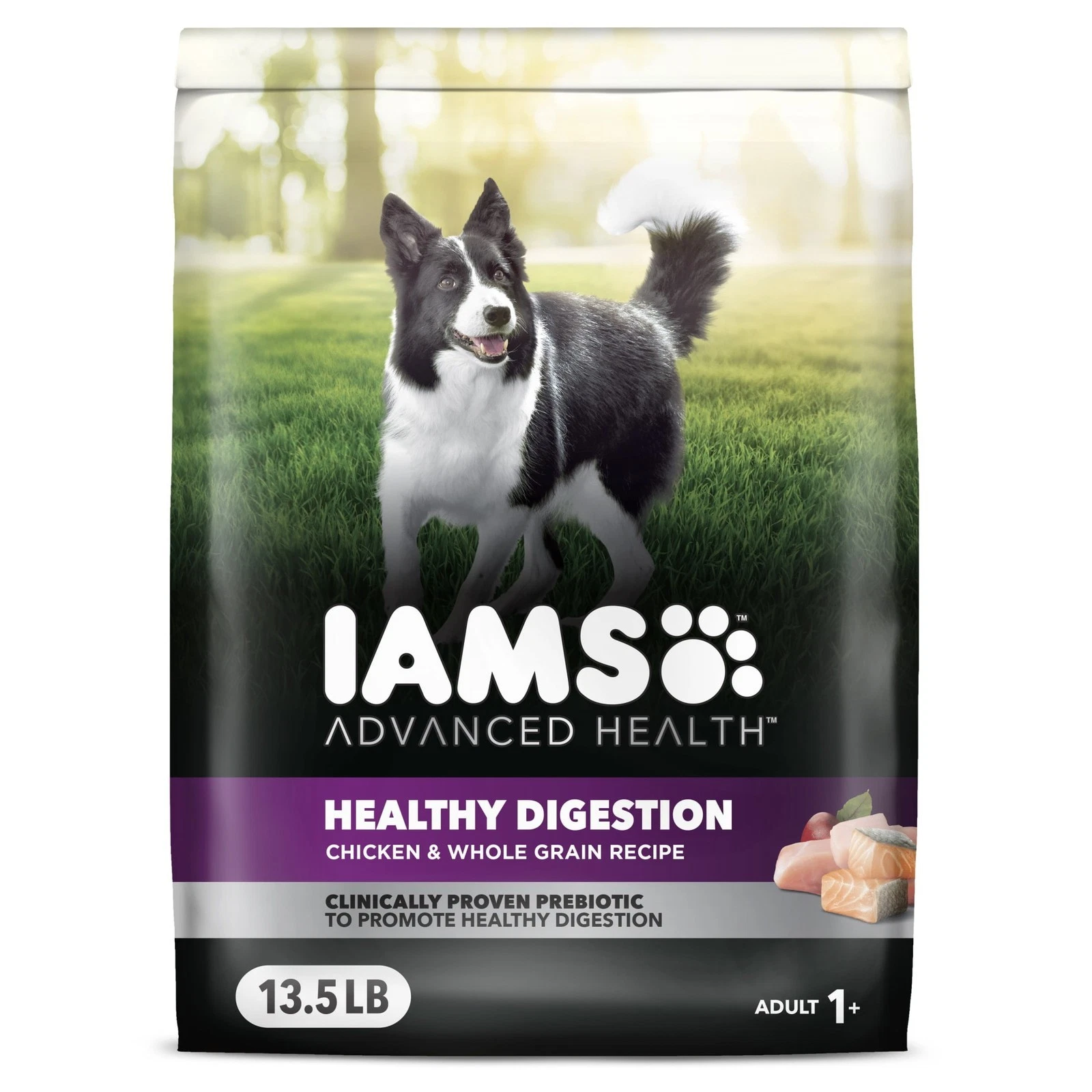 Advanced Health Healthy Digestion W/ Real Chicken Dry Dog Food Adult 13.5 Lb Bag