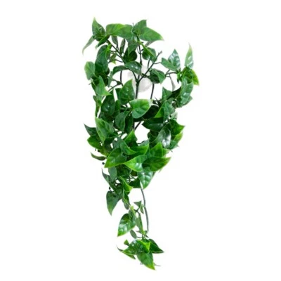 TERRA EXOTICA Kunstpflanze Weinrebe-S 30 cm Terrarium Hängepflanze - Evergreen Vine