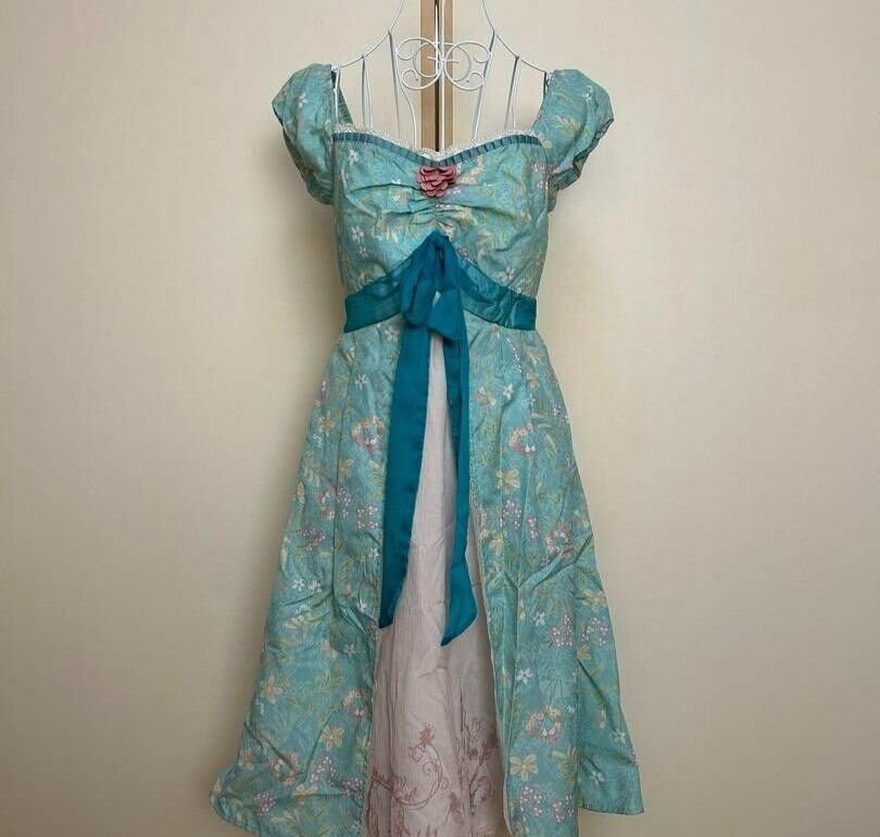 Secret Honey Disney Enchanted Gisele Curtain Dress Size 2 women