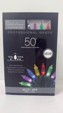 Celebrations Platinum LED Mini Multi 50 ct String Christmas Lights 24.5 ft.