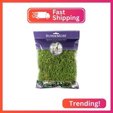 SuperMoss 26907 Spanish Moss Preserved, Grass, 4oz, 120 cubic in Bag Appx. 4o
