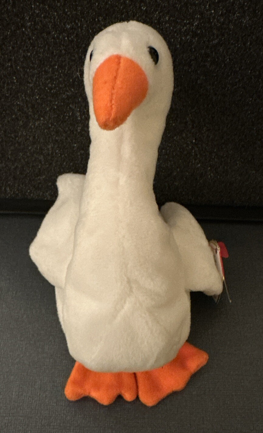 Picture 1 of 8