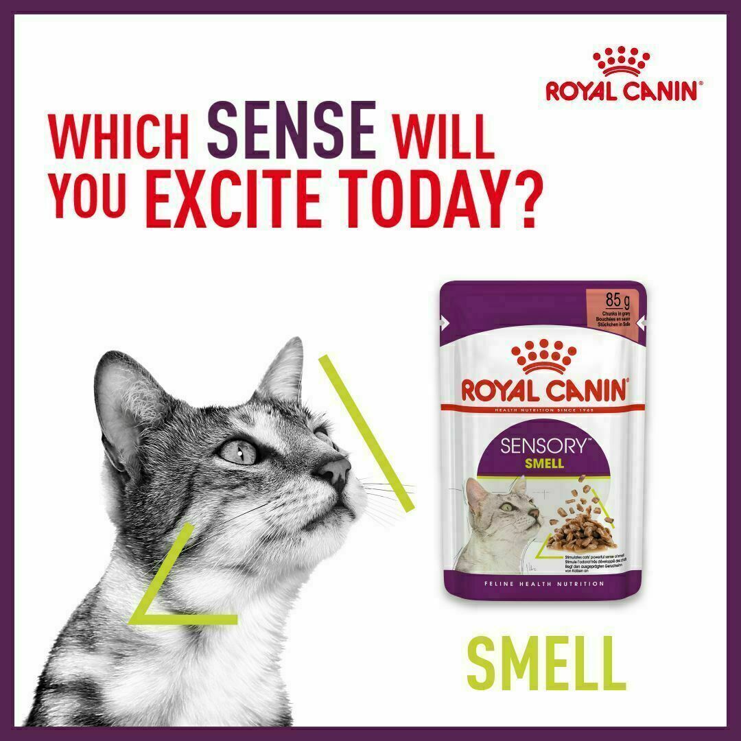  CANIN SENSORY 85g 12パック×3箱、バラ8 Sensory Adult Wet Cat Pouch Pack, 12 x 85g | eBay