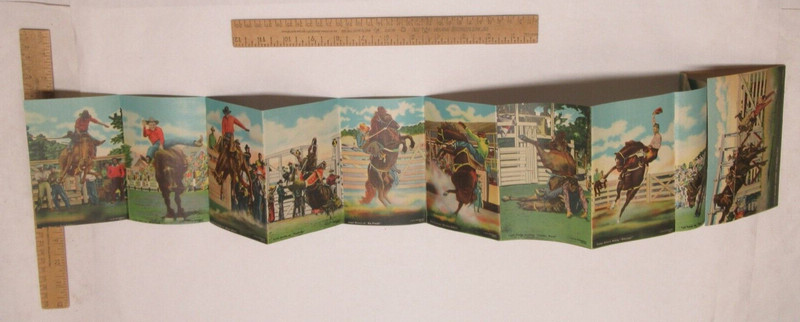 WESTERN SPORTS PICTURES - DOUBLEDAY'S Souvenir Folder Fold-Out POST CARD - #1659