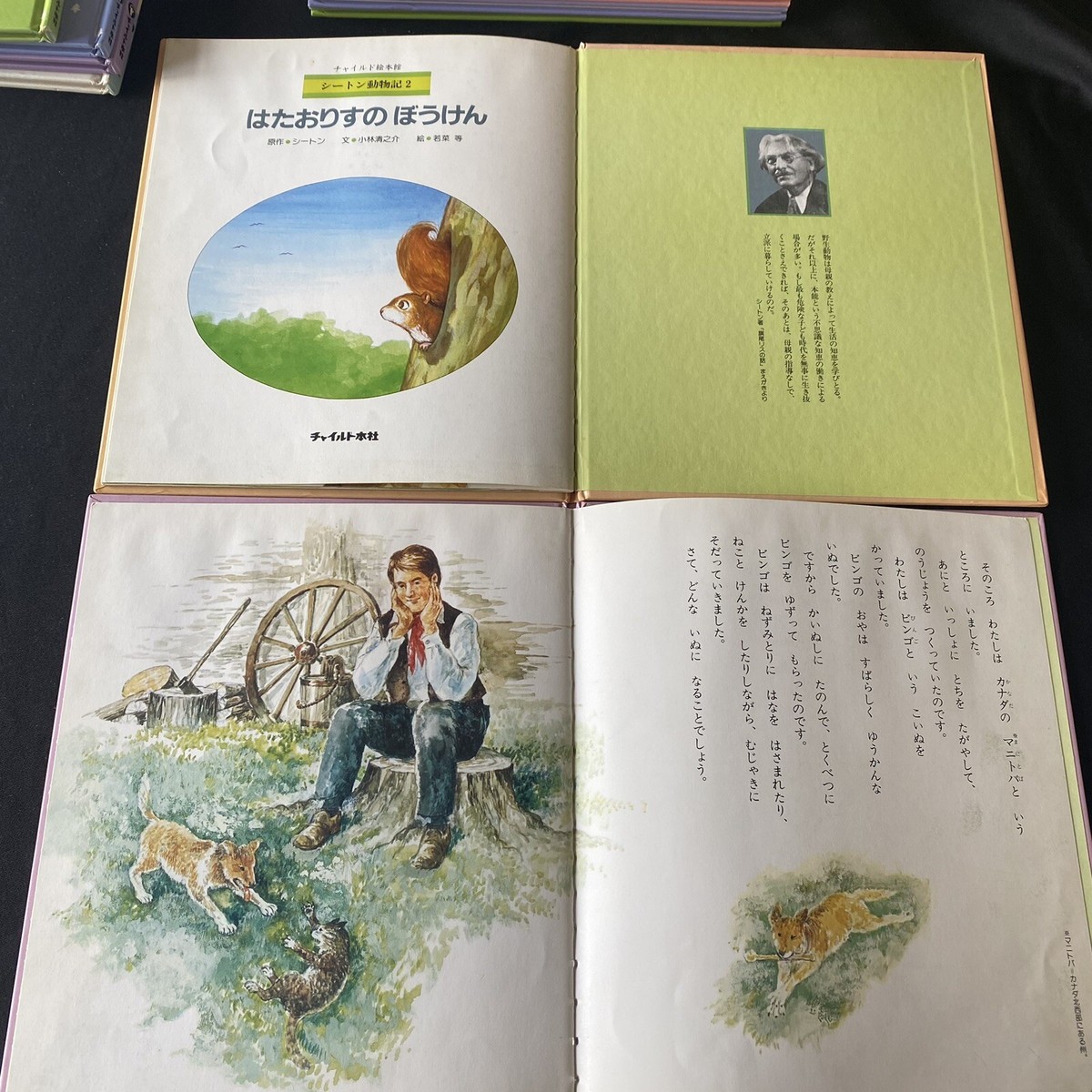 【中古】 シートン動物記 １/評論社/アーネスト・トムソン・シートン Amazon.co.jp: 私が知っている野生動物 (シートン動物記 1