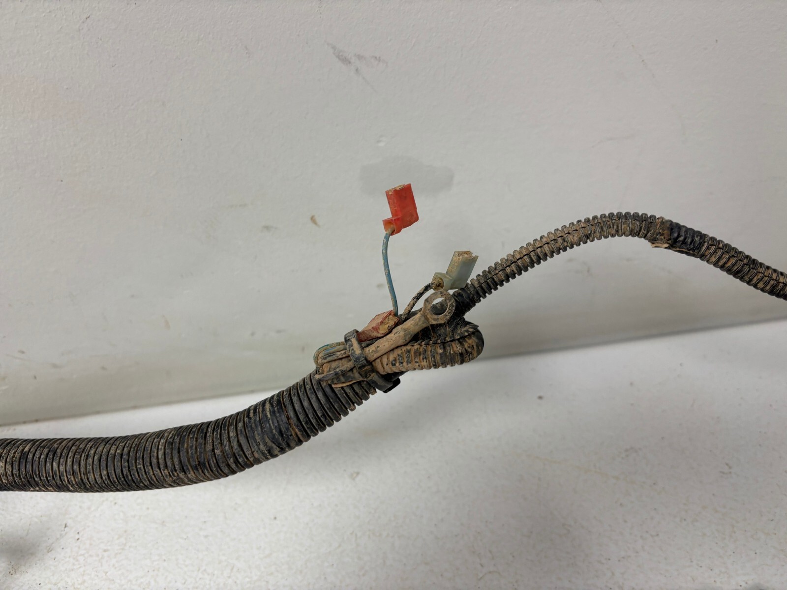 Picture 10 of 20